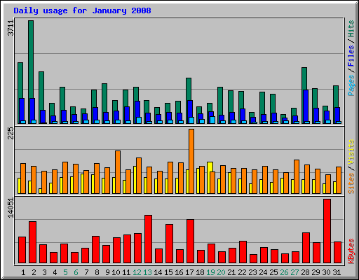 Daily usage for January 2008